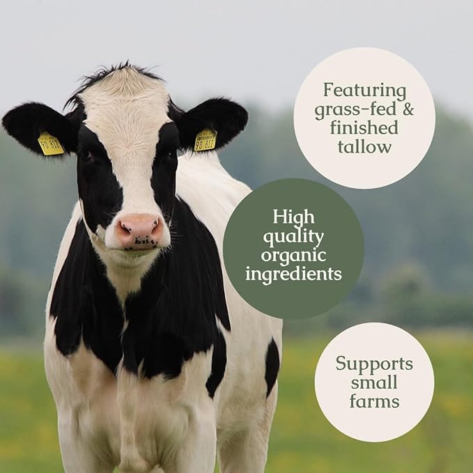 Handmade Tallow Lip Balm Collection: Unscented/Peppermint/Lavender-Spearmint (3x .33 oz)