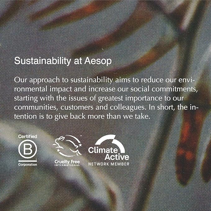 Aesop Geranium Leaf Body Cleanser + Scrub | 16.9 oz + 6.2 oz