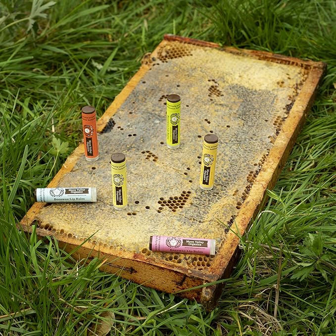 Moon Valley Organics Beeswax Lip Balm for Moisturizing Lips and Cuticles (COOL MINT VANILLA, 1-Pack)