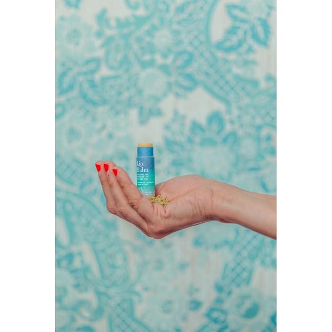 Vegan Lip & Eye Balm, Plant-Based Formula with Shea Butter, Jojoba Oil & Algae Extract for Skin Hydration & Protection, Sea Salt + Kelp Scent, 6-Pack