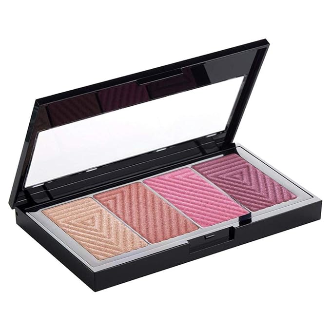 Master Blush Palette N 10