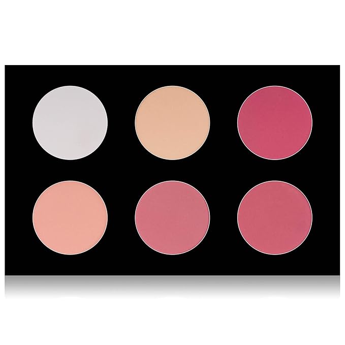 SHANY Cosmetics Shimmer & Matte Blush/Highlighter Face Palette - Layer 4 - Refill For The 6 Layer Mini Masterpiece Collection Makeup Set, Highlighter