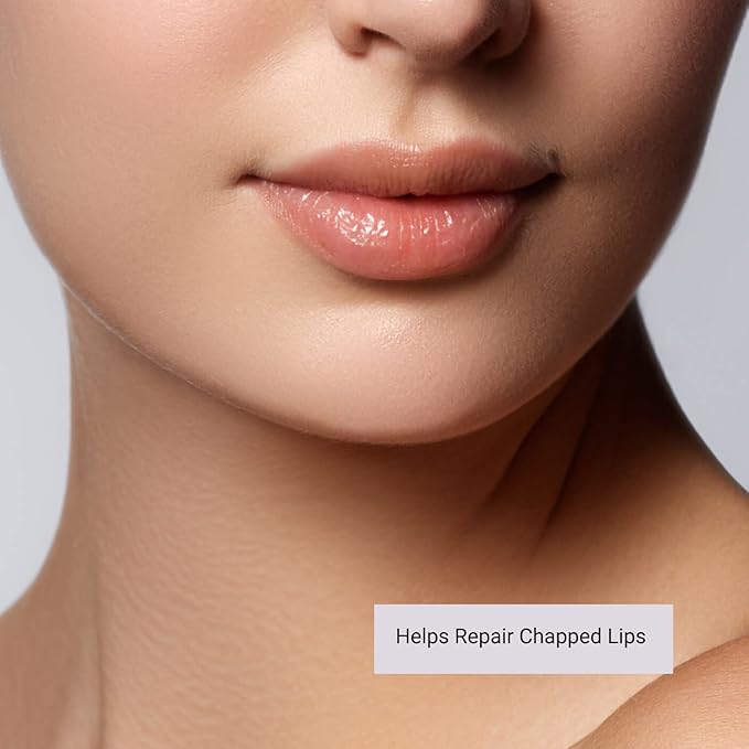 Dionis Goat Milk Lip Balm Deluxe Gift Box Set of 6 Vanilla, Coconut, Milk & Honey, Berry, Peppermint & Blood Orange Scented Chapstick - Shea Butter & Coconut Oil Gifts For Her, Protect & Restore Lips