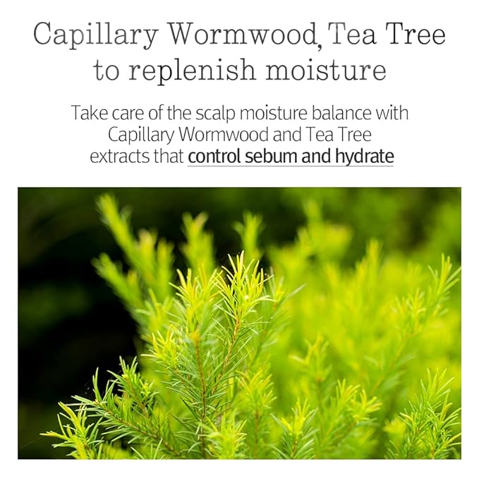 PYUNKANG YUL Hair&Body Travel Kit | Shampoo, Conditioner, Body Wash, Lotion, Spa Kit, 4 items | Low pH, Moisturizing, Soothing, Refreshing, Fragrance Free | Korean Skin Care | 3.38 Fl.Oz. x 4ea