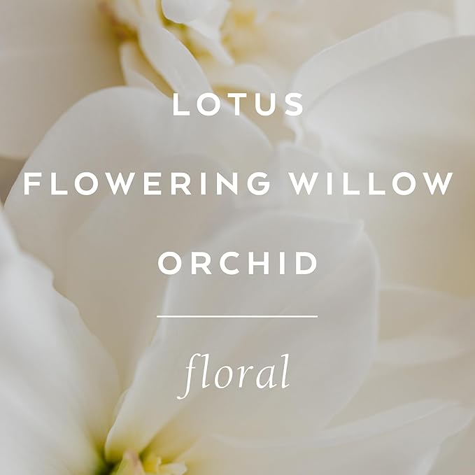 LOLLIA Imagine Body Butter, 5.5 oz. - Flowering Willow & Lotus Fragrance - Shea Butter & Cocoa Butter, Body Lotion for Women, Hydrating & Smooth Body Moisturizer