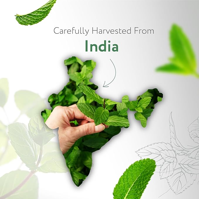 HBNO California Bottled Organic Peppermint Essential Oil (Mentha Piperita) 4 fl oz (120ml) - USDA Certified Organic Peppermint Oil for Hair - Perfect for Aromatherapy