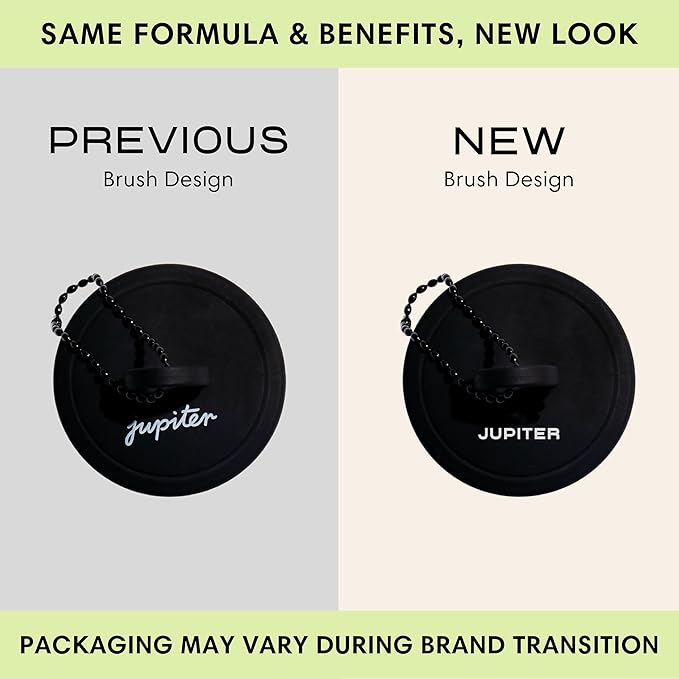 Jupiter Exfoliator Brush For Removing Dandruff & Build-Up - Detangling Scrubber For Wet or Dry Hair - Supports Circulation & Growth - For All Hair Types - Black, 2 Pack