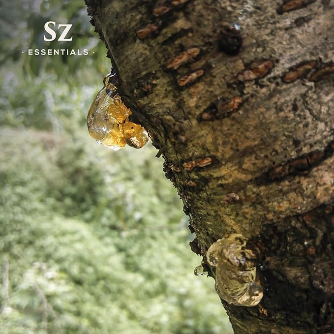 Elemi Essential Oil (Canarium Luzonicum) - 100% Pure and Undiluted - Fresh, Citrusy & Spicy Scent with Subtle Balsamic and Peppery Undertones - Therapeutic Grade & Vegan -0.17 oz (5ml)