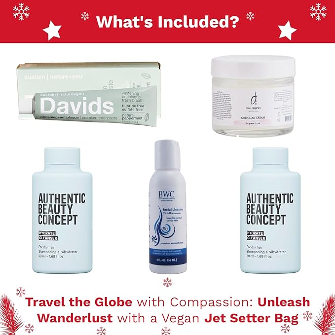 Jet Setter's Selfcare Essentials - Vegan Beauty Set Gift for Women - On-the-Go Skincare And Vacation Beauty Essentials - Compact Travel Size Beauty Products Gift Set - Great Christmas Gift for Her
