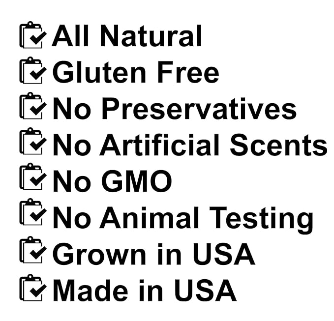 USDA Organic Orange Lip Balm 2 Pack - Over 70% Pure Organic Jojoba Oil, Organic Beeswax, Citrus Scent, Soothes and Softens Dry, Cracked, and Sensitive Lips, Natural Orange Scent No Taste 15 oz/4.6 g