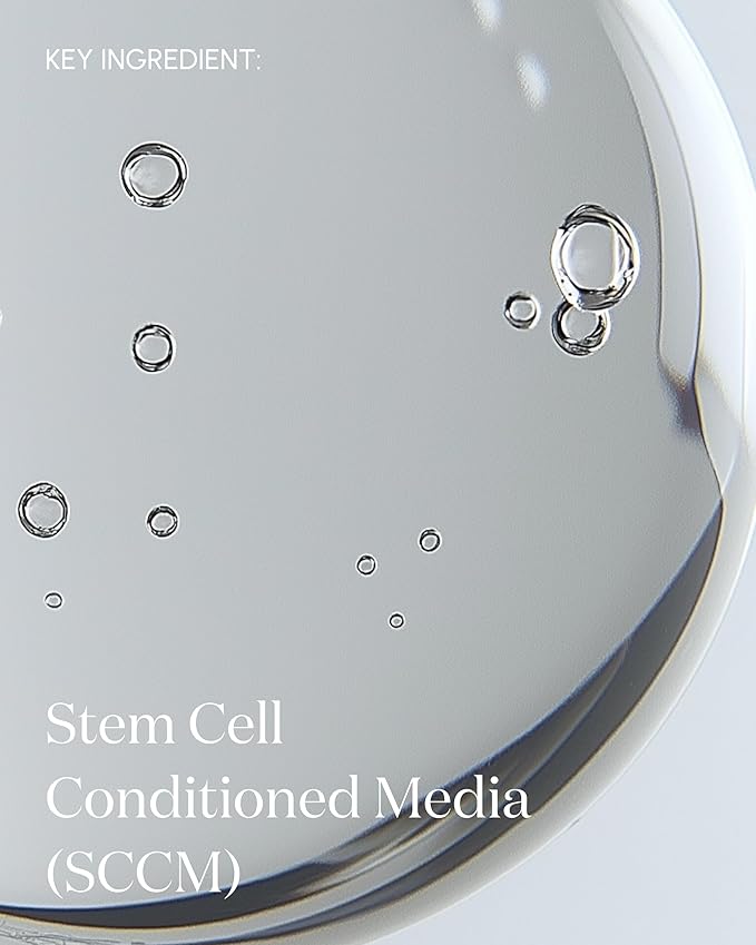 The Essence Rejuvenating Mist 50 Milliliter