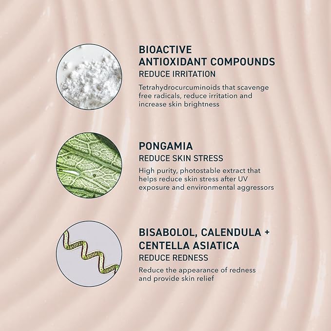 Skin Sun Barrier Mineral Sunscreen SPF 50. PA++++ Broad Spectrum Zinc Oxide Sunblock with Semi-Transparent Lightweight Texture. Moisturizing UV Defense for Face. Travel Size, 1.7oz