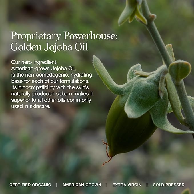 Ogee Complexion Perfecting Under Eye Concealer - Certified Organic Full Coverage Concealer - Buildable Coverage - MAPLE 8.25N - Medium Deep (Golden-Bronze Undertones)