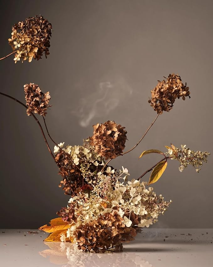 Homecourt Hand Wash, Gently Cleanses & Hydrates, Removes Dirt & Debris Without Irritating Skin, Clean Formula, Cece, 12 fl oz