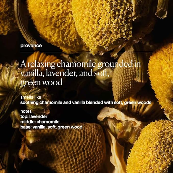 evolvetogether Lip Balm for Women & Men | Plant-Powered Hydration with Calming Lavender | Multi-Use Stick for Lips, Cuticles, Cheeks | Cruelty-Free, Paraben-Free | Made in USA (Provence, 1 Oz)