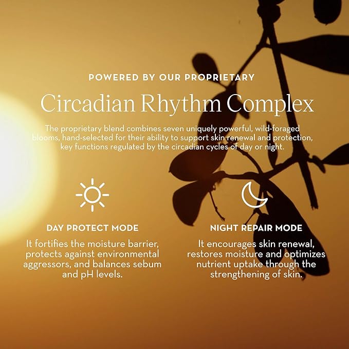 Furtuna Skin Daily Renewal Cream - Daily Moisturizer, Advanced Skin Hydration Technology, Radiance & Balance Enhancing, 95 Percent Natural