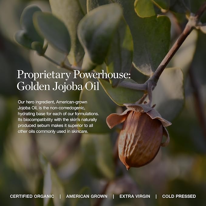 Ogee Complexion Perfecting Liquid Foundation - Lightweight Tinted Moisturizer For Face (Larch 2.25C - Light Medium, Beige Undertones) - with Vitamin C & Jojoba Oil - Certified Organic & Made in USA