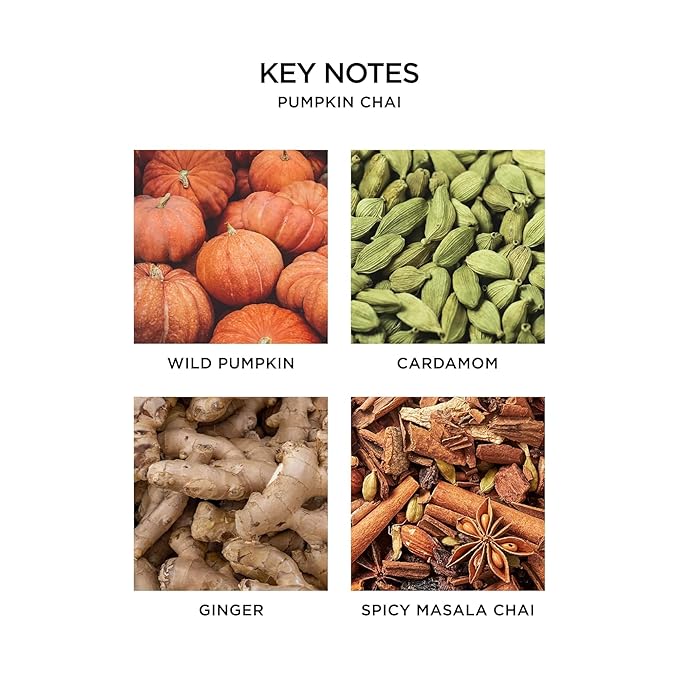 NEST New York Liquid Soap, Pumpkin Chai - 10 fl oz - Cleanses & Nourishes Skin - Approx. 300 Pumps Per Bottle - Gluten Free & Cruelty Free