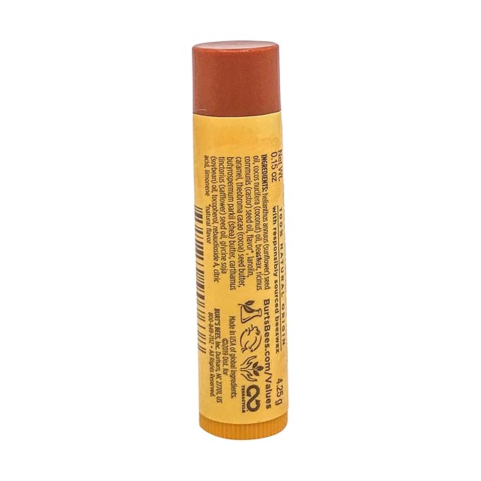 Burts Bees Salted Carmel Lip Balm, 1 EA