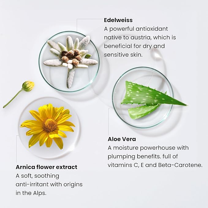 Monika Blunder Beauty - Blunder Cover Foundation/Concealer - Shade: 5 - Fünf - Medium/Deep, Warm Golden Undertones - Clean Beauty, All-In-One, Cruelty-Free, Fragrance-Free, Vegan - 0.62 oz