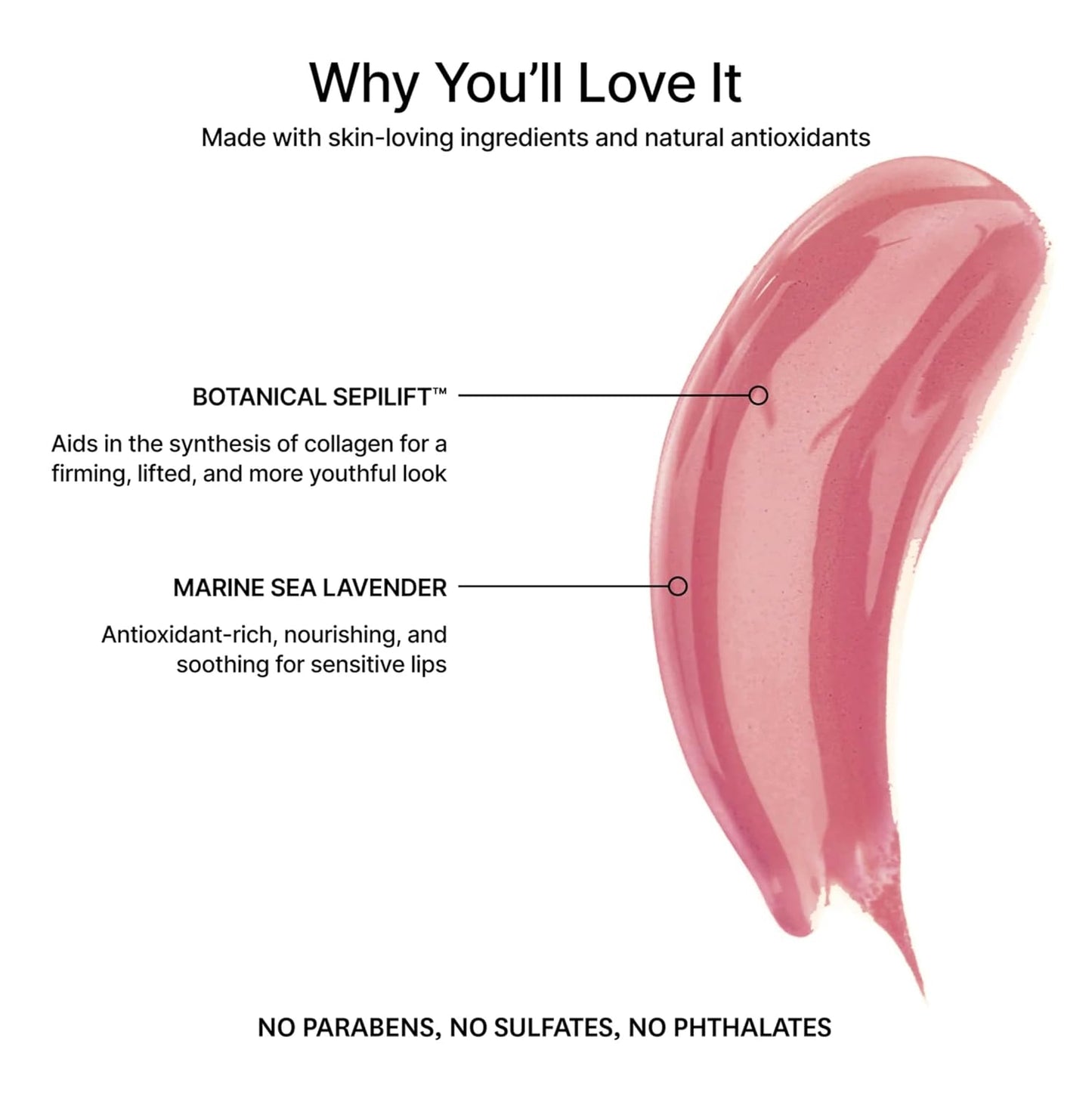 Jillian Dempsey Lip Gloss: Enhance, Hydrate & Smooth Lips with Firming & Plumping Benefits, Vegan, 12ml | Delux Mauve