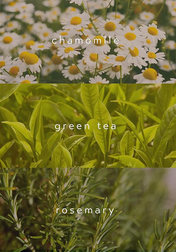 NOTHING FITS BUT Crème Belly Botaniceutical Maternity Herbal Vegan Cream for Stretch Marks Cream for Pregnancy with Rosemary, Green Tea and Chamomile Extracts (6.8 fl oz / 200ml)