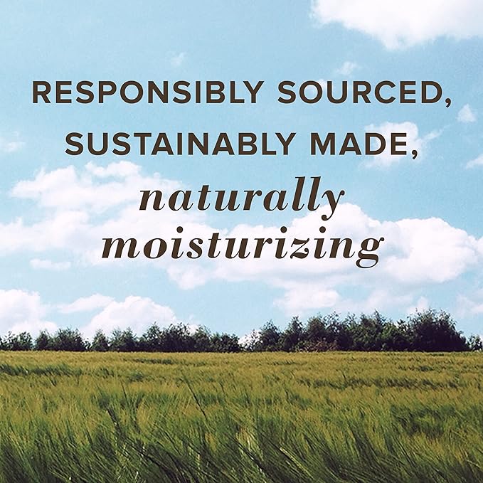 Burt's Bees 100% Natural Origin Moisturizing Lip Balm, Cucumber Mint with Beeswax, 4 Tubes