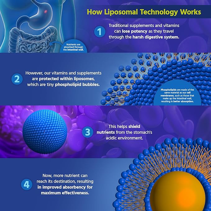 Core Med Science Phosphatidylcholine Supplement, Liposomal PC Complex (8 Fl Oz) - Lecithin Phospholipid Supplement That Supports Liver & Gut Health - Phosphatidyl Choline Liquid for Cognition Support