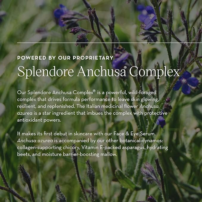 Face & Eye Serum - Dual-Use Formula to Lift, Reduce Puffiness and Even Tone, Wild-Foraged Botanicals, Vegan, Dermatologist Tested, EWG Verified, 15ml